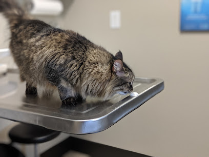 VCA Magnolia Animal Hospital