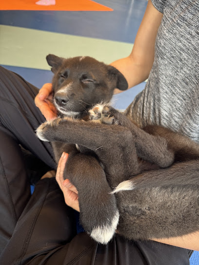 Resilient Hearts Animal Sanctuary