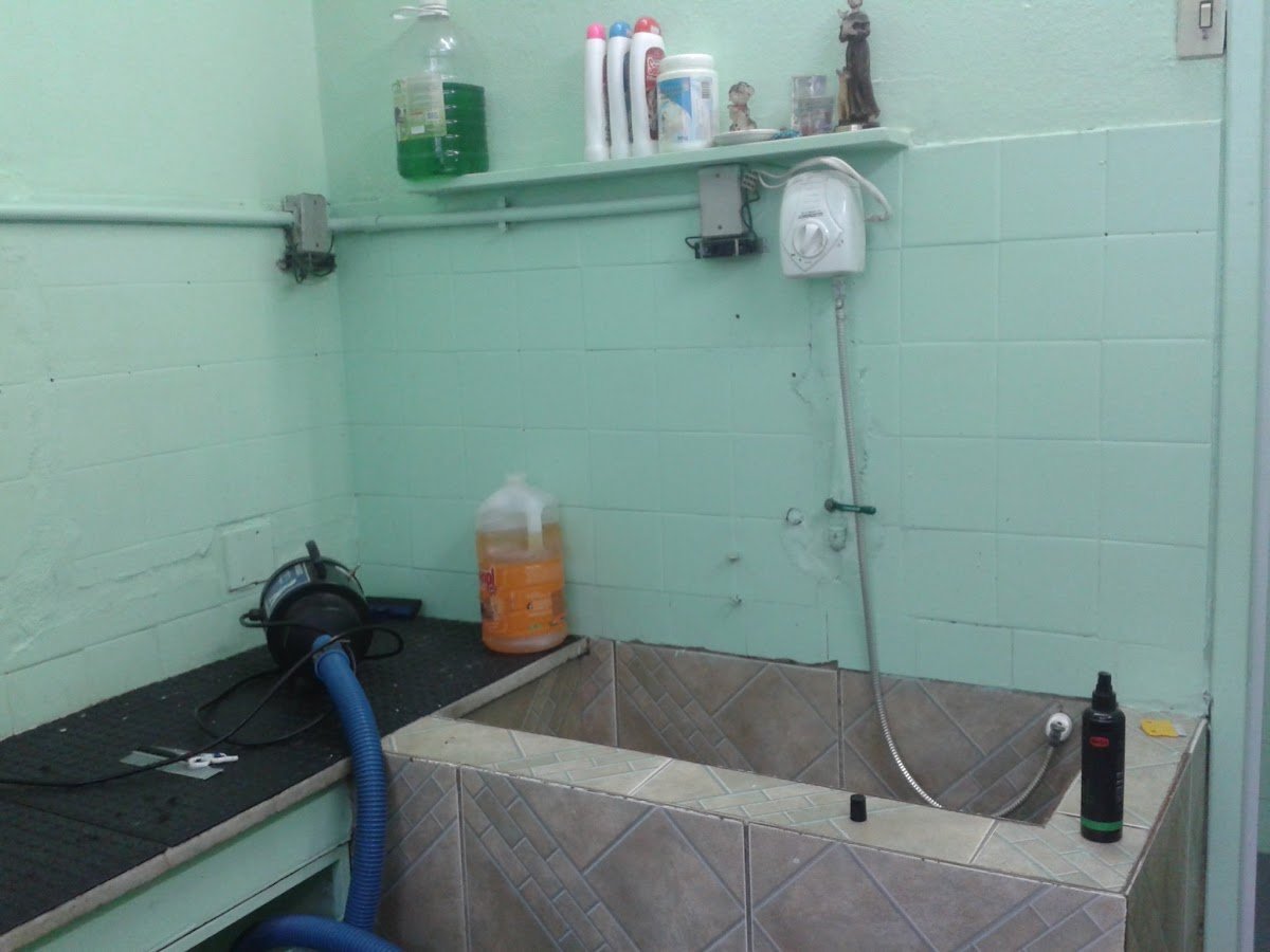 Veterinária Salomão e Cia