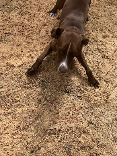 Just Peachy Pet Care - Dog Boarding