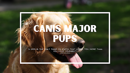 Canis Major, LLC