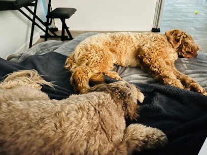 Bainbridge Pet Resort