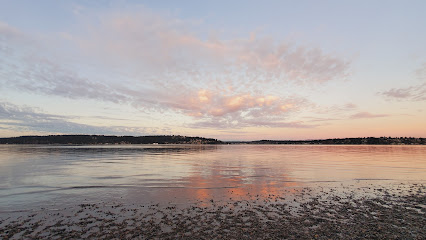 Magnuson Park Off Leash Dog Beach