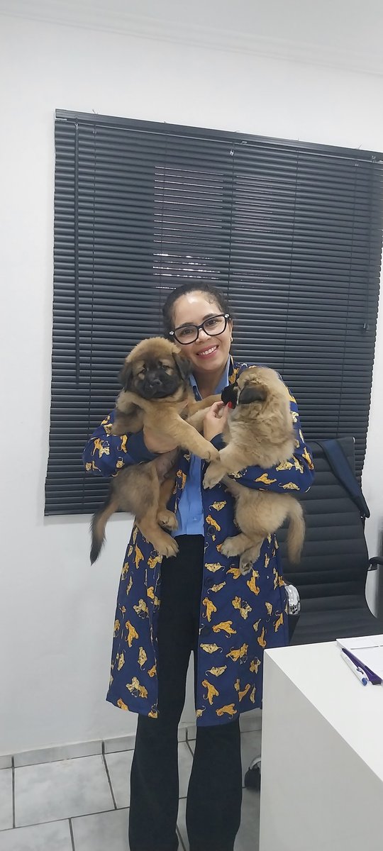 Amanda Pet Clinica Veterinaria