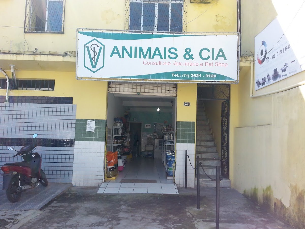 Amimais Veterinária