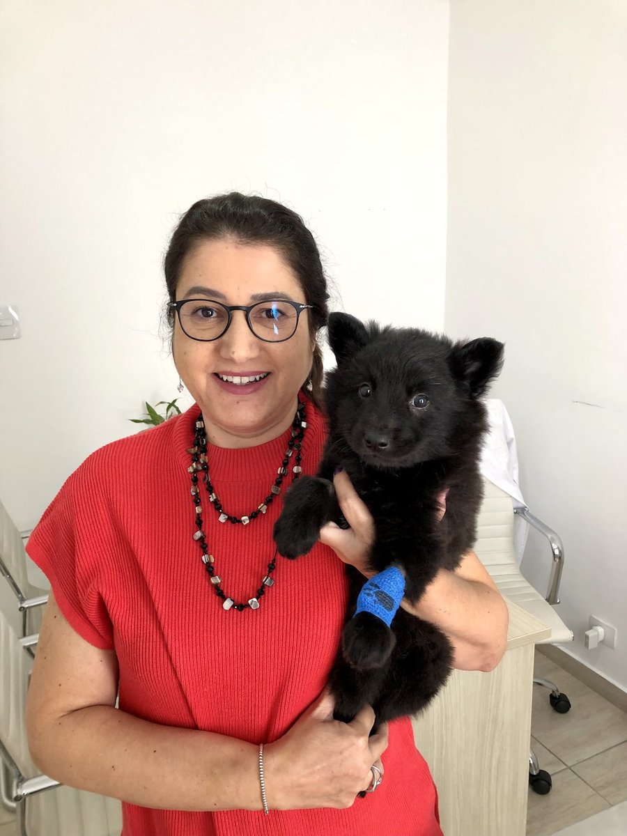 Aconchego Animal Clínica Veterinária em São José dos Campos