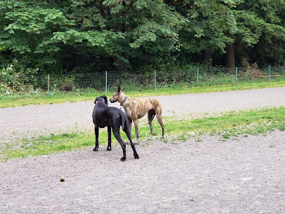 Shoreview Park Off Leash Area Dog Park