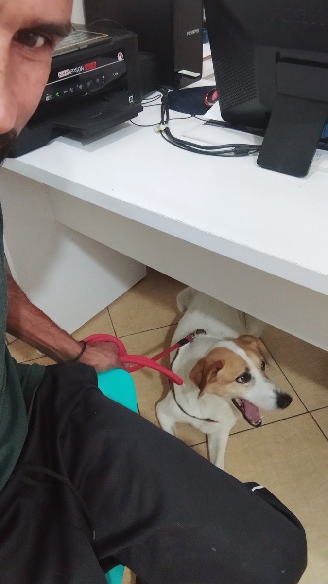 Clinica Veterinaria Sao Geraldo