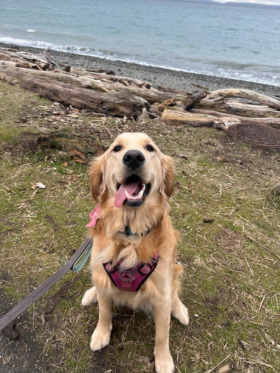 Camp Crockett Dog Day Camp