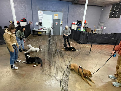 Noble Beast Dog Training