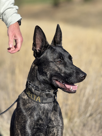 Delta Canine Co