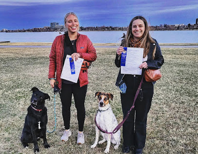 FreeLance Dog Training