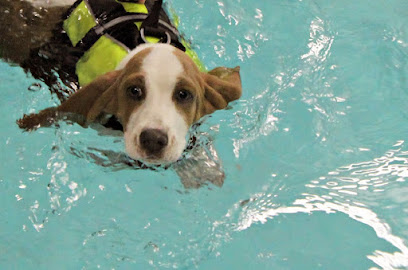 Canine Dimensions In-Home Dog Training