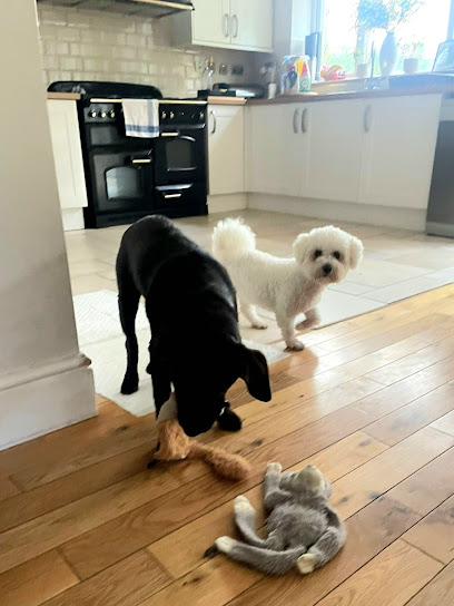 Pet Day Care and Boarding