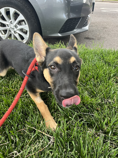 Fire and Friends LLC