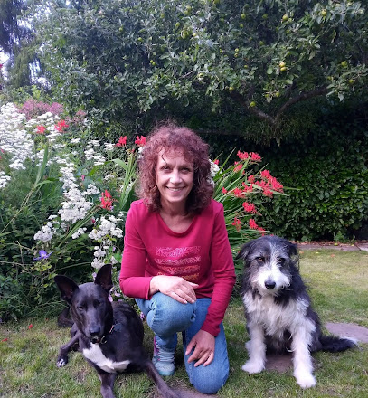 Happy Mutts Dog Training