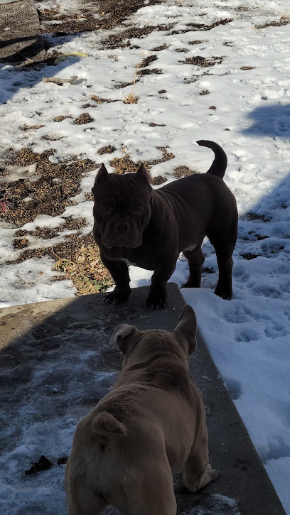 Bully Family Farmz Kennel LLC