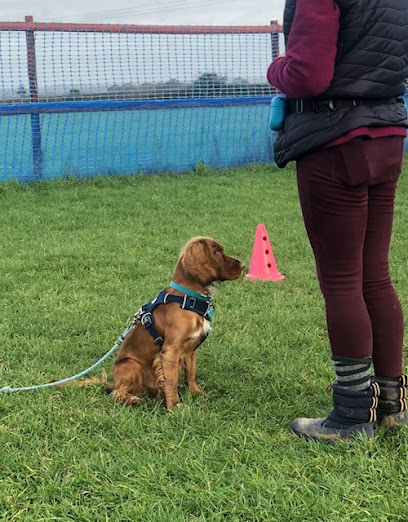 Lakeside Dog Training