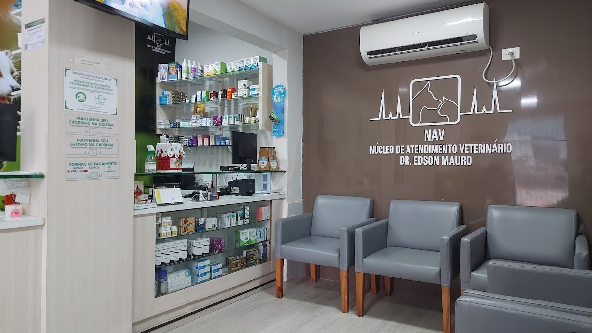 Focus Diagnóstico Veterinário - João Pessoa