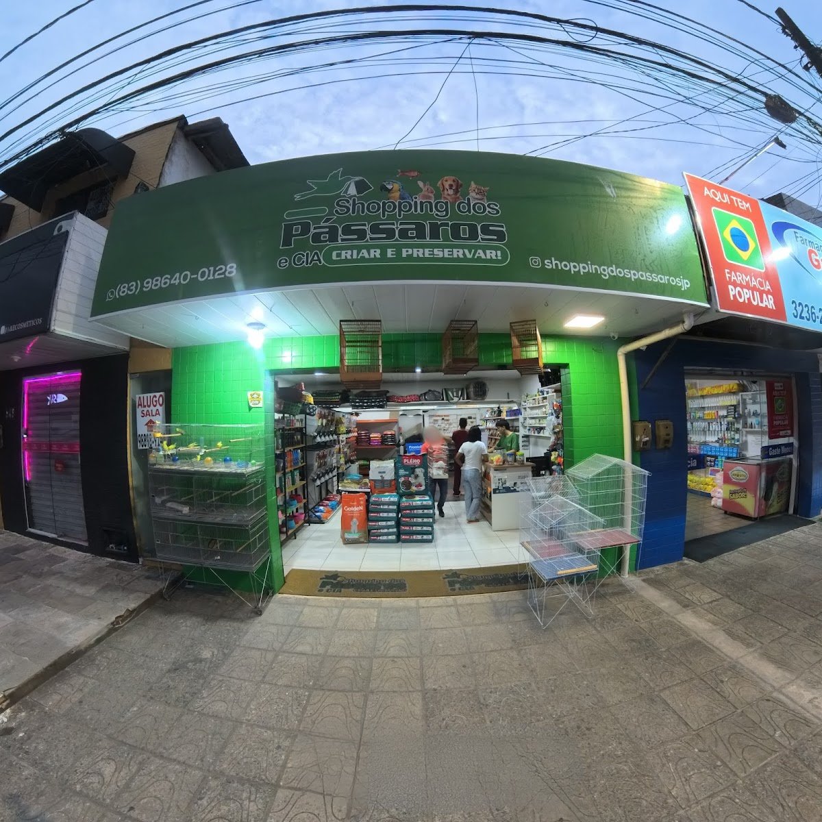 Pet Shop Pássaros & Companheiros