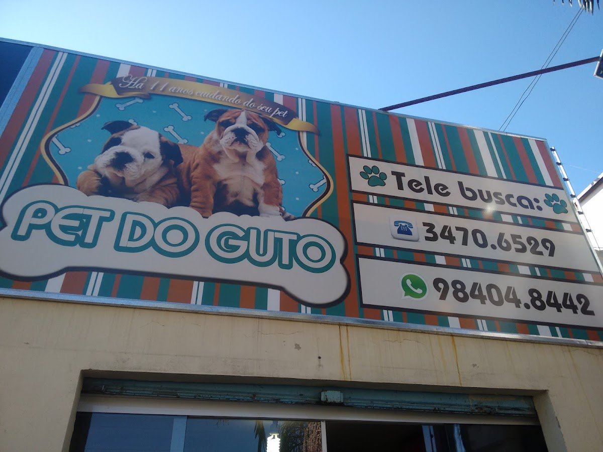 Pet Do Guto