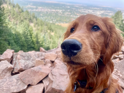 PoshPups Colorado