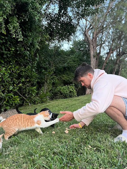 Buddha's Pet-Care (Arlington)