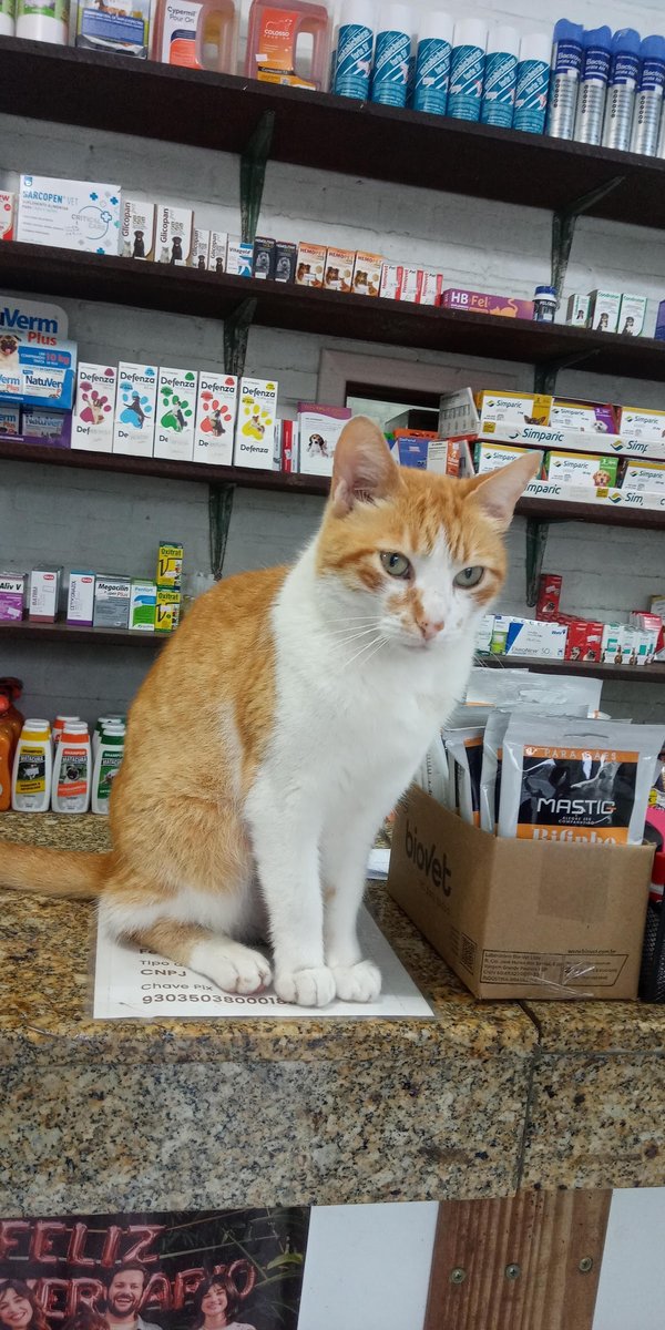 VETERINÁRIA GAÚCHA