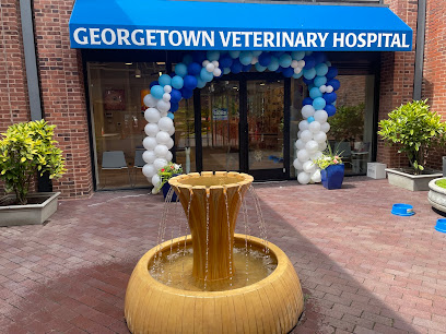 Georgetown Veterinary Hospital