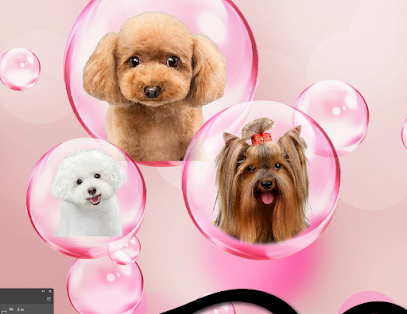 Debbie's Mobile Dog Grooming