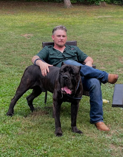 Balanced K9 Training of DMV