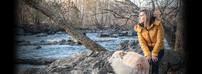 Silver Spring Dog Training