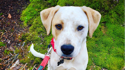 Potomac Pet Re-Treat