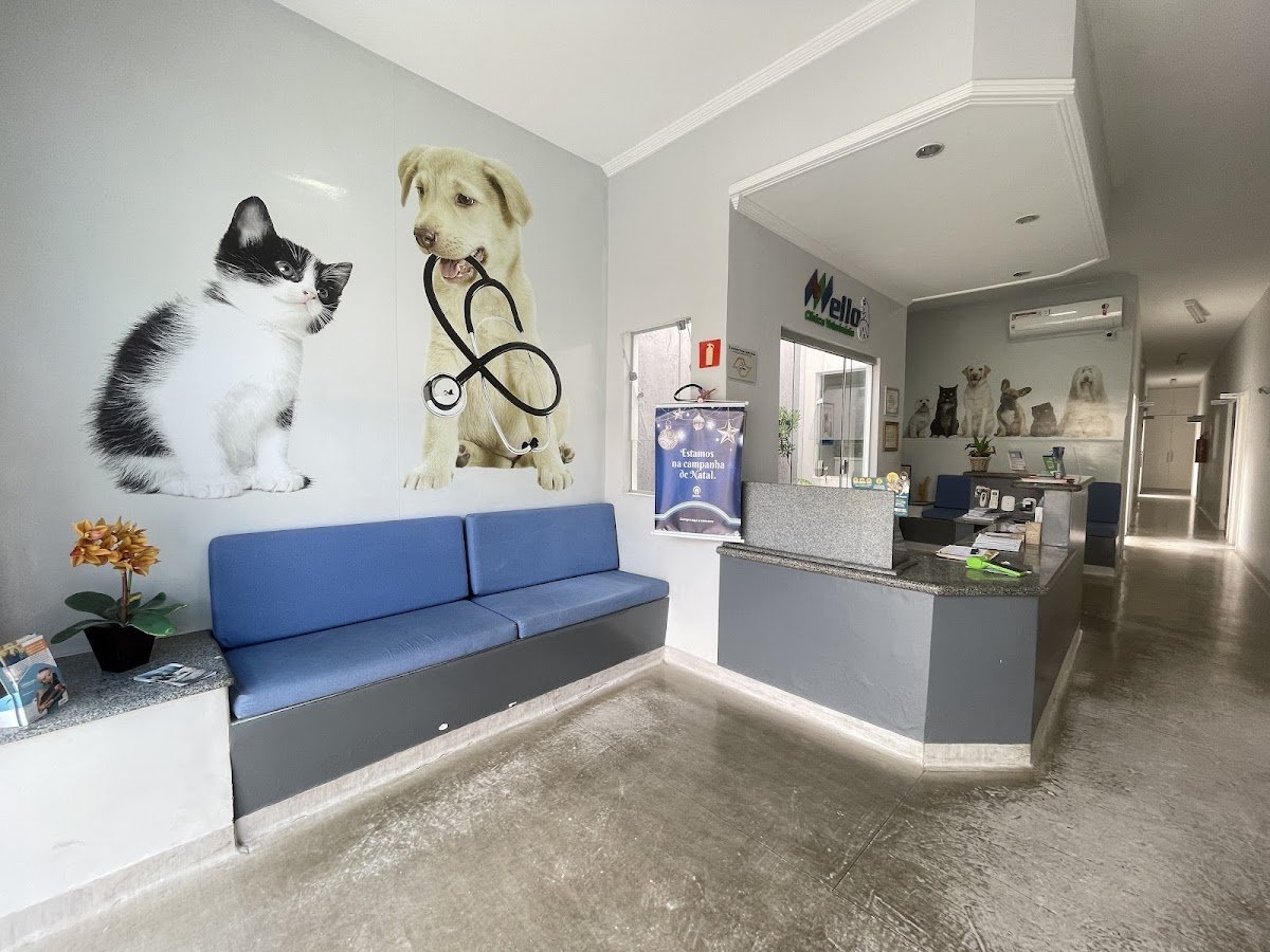 Vet Mello Ou Gustavo Filho