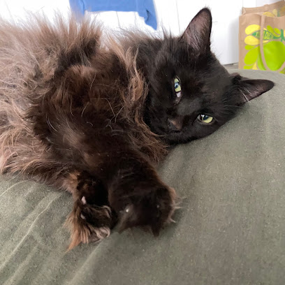 Rock Creek Home Veterinary Care