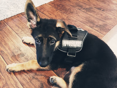 Scoop Soldiers - Washington, DC