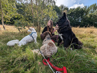 Sylwia's Pet paradise