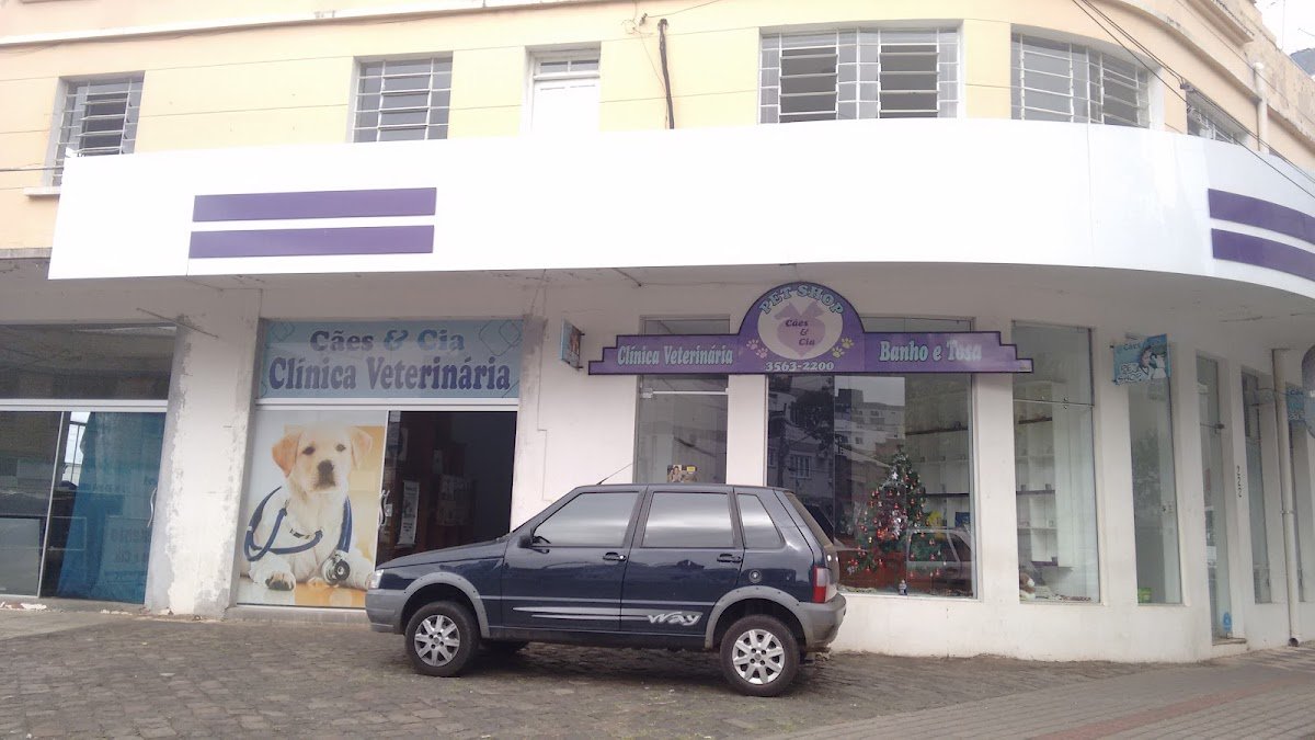 Dogs Veterinary Clinic & Co.