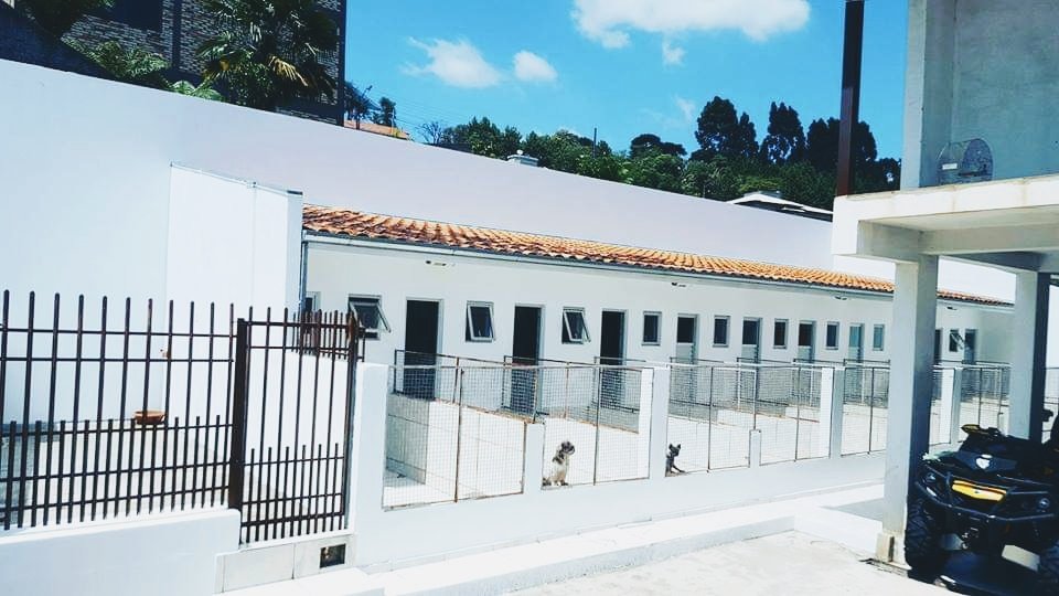 Pet Shop Mundo Animal