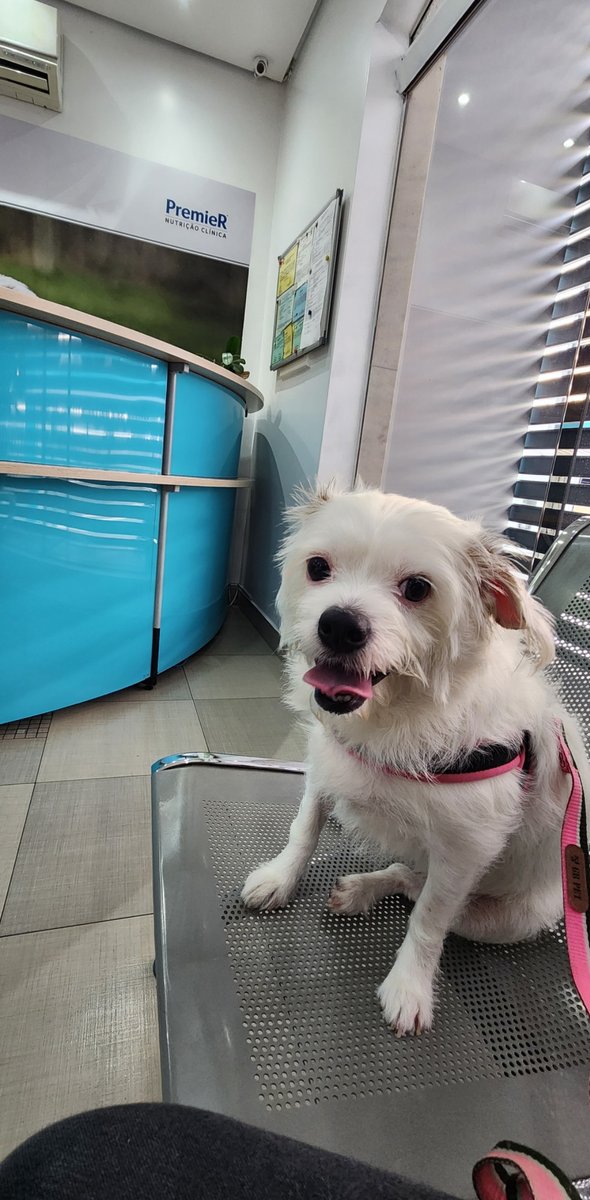 Clinica Veterinaria 4 Patas