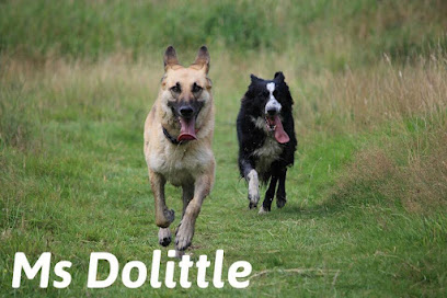 Ms Dolittle Pet Services
