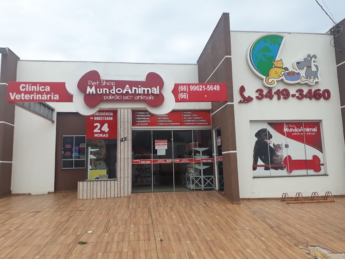 Veterinary Clinic Animal World