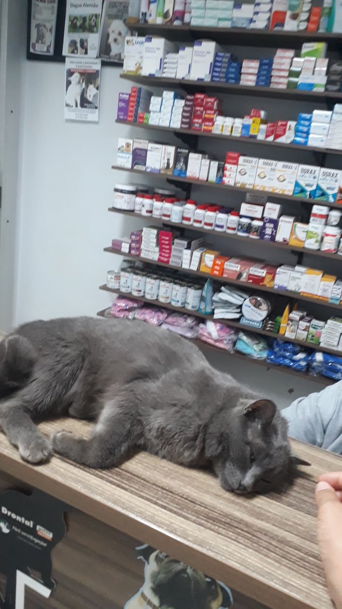 PET SHOP RECANTO DOS BICHOS