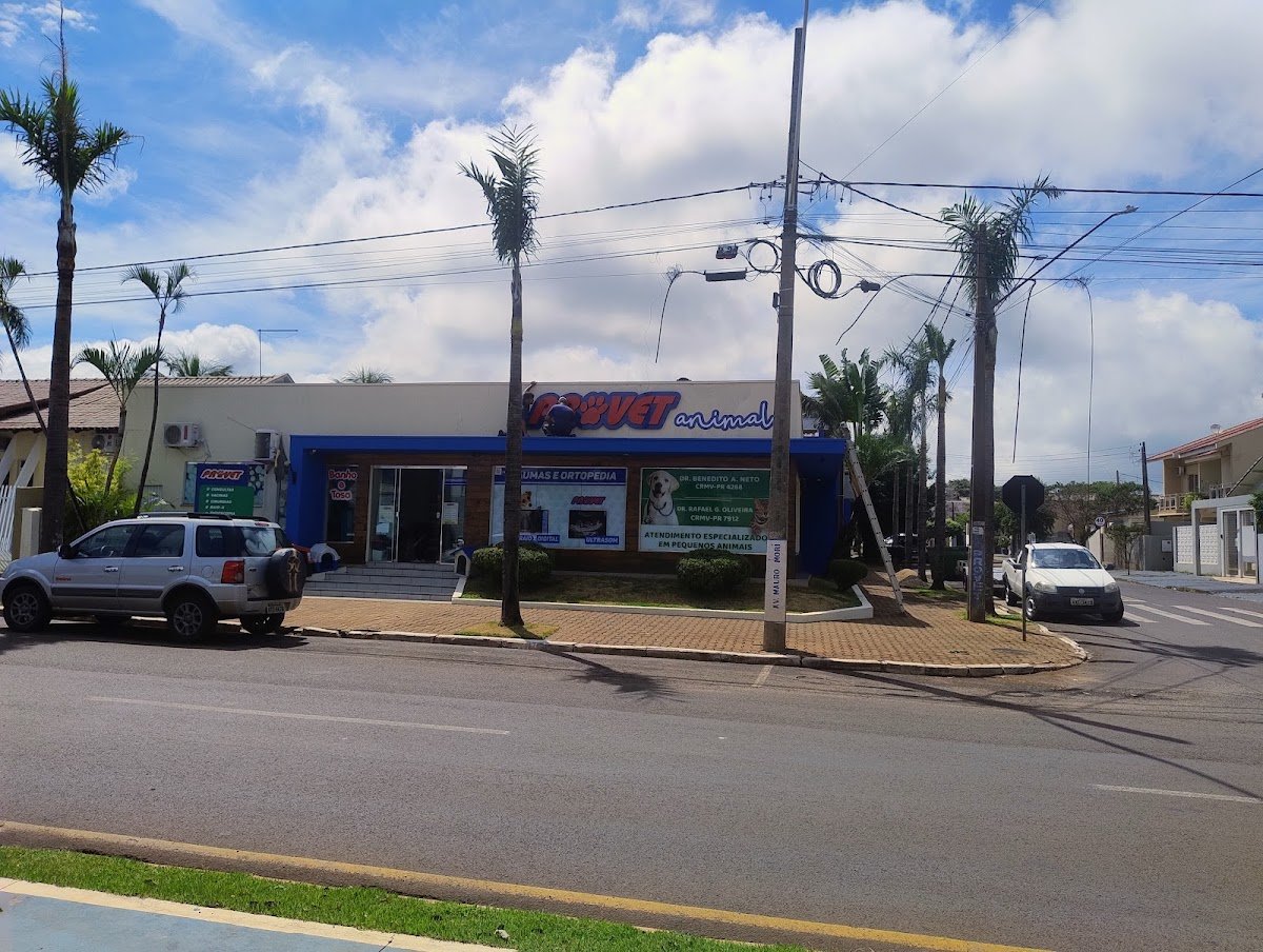 Provet Animal Veterinário