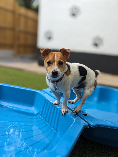 House of Paws Petcare LTD