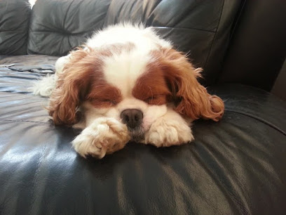 Pet Care Services LS25