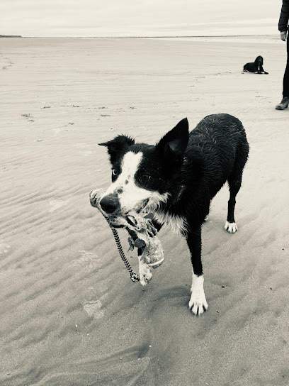 Greenleaf Animal Rescue