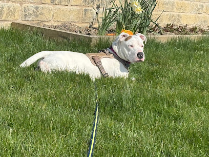 Good Life Dog Rescue