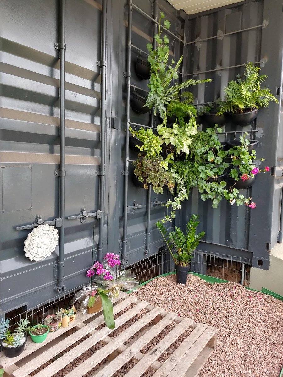 Dra Gabriela Kronhardt