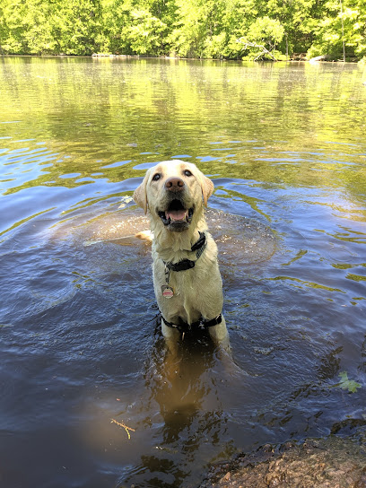 Highland Hounds: Dog Hiking & Adventures